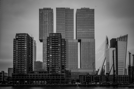 Rotterdam, Katendrecht