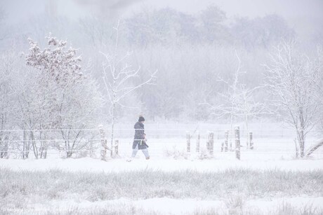 Winterwandeling