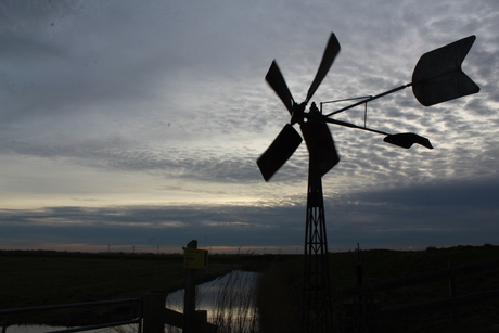 Bosman molen 