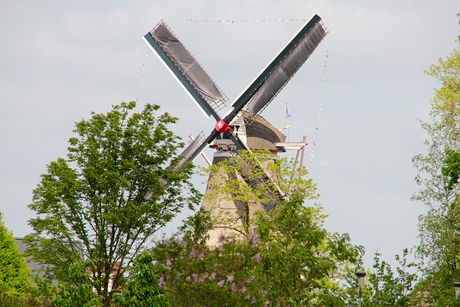 Korenmolen De Zwaluw