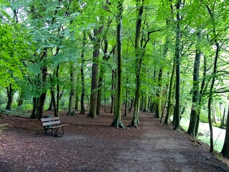 mooi Clingendael