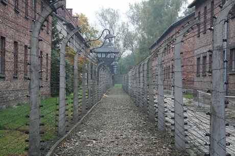 Auschwitz!