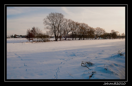 Witte kerst.