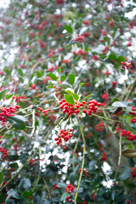1e dag van fotografie (09-10-2025)