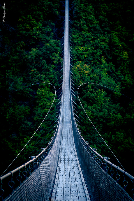 De Geierlay voetgangershangbrug in Duitsland