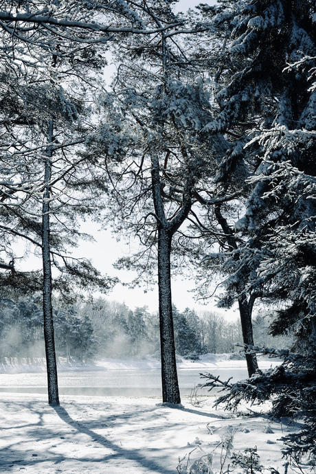 Pauze en mijn wens voor jullie