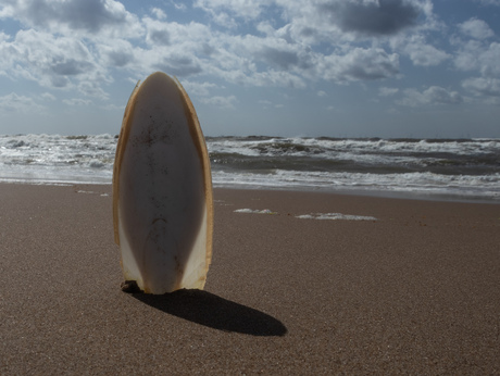 Zand en zee