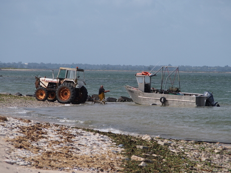 Boer op zee