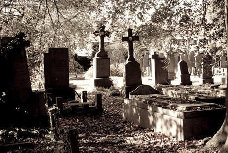 Cemetery