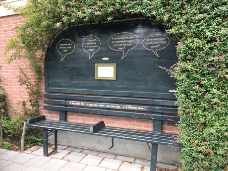 Bankje in Groningen met rondom groen