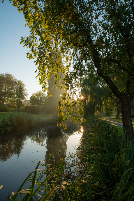 Ochtendlicht