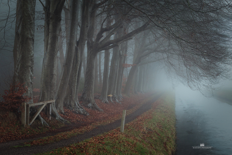 Moody condities zo aan het eind van het jaar