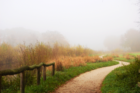 natuur landschap