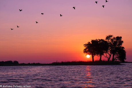 okavango delta river