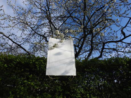 FLOS CERASORUM IN VENTO-Bloesems gevangen in tijd, Nijmegen 2026