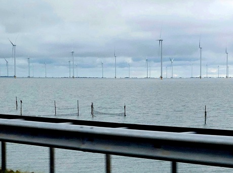 Ritje naar Friesland