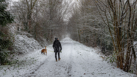 Wandeling door de sneeuw.