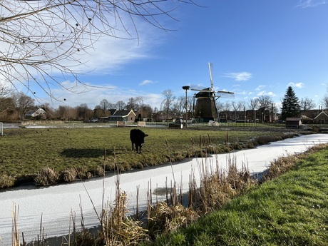 Winter in Voorburg