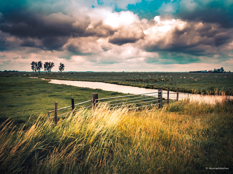 Woudpolder NH