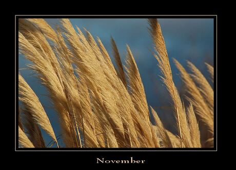 November 1