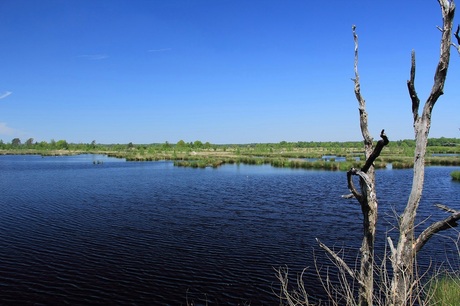 Holtveen Dwingelderveld