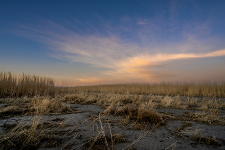 Wadden