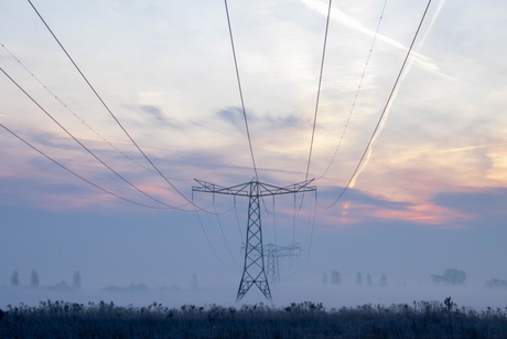 Mast in de mist