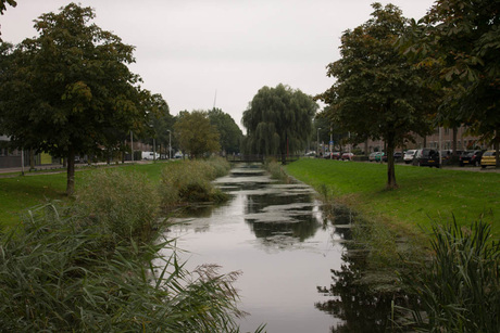 Hoog water in de singel, in Zoetermeer.jpg
