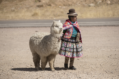 Peru: Onderweg van Puno naar Cuzco 