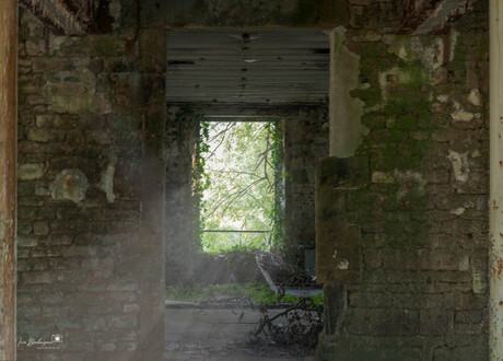 Natuurlijke Terugkeer