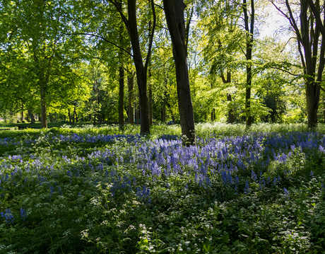 Visserpark Alphen