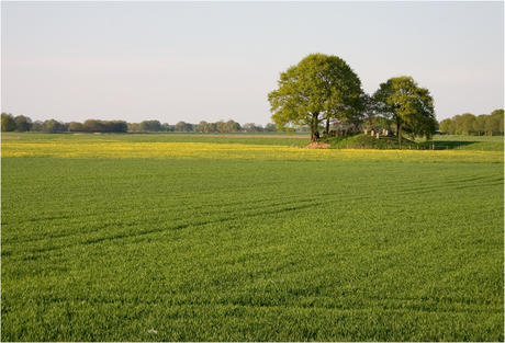 het jodenbergje