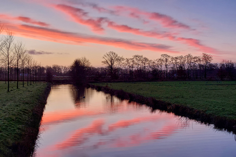 Ochtendrood water in de sloot
