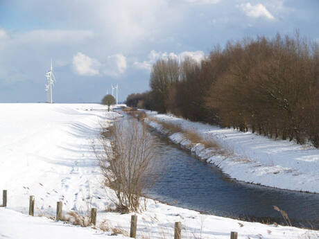 Polder in de sneeuw