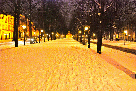 Sneeuw op 't Lange Voorhout Den Haag