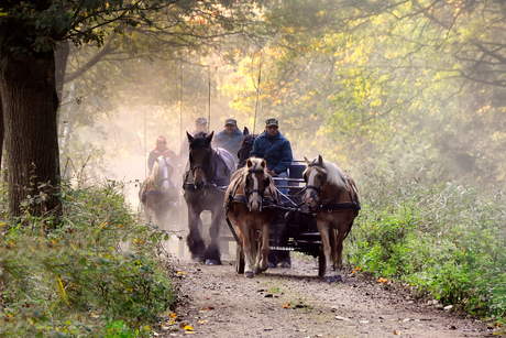 gouden herfst rit