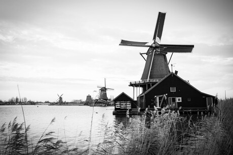 Een grijze dag… 🖤🤍