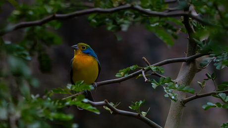 als de duisternis valt kun je altijd nog een lichtpuntje zien