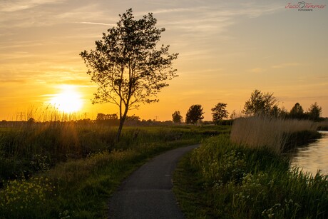 Landschap in het gouden uur