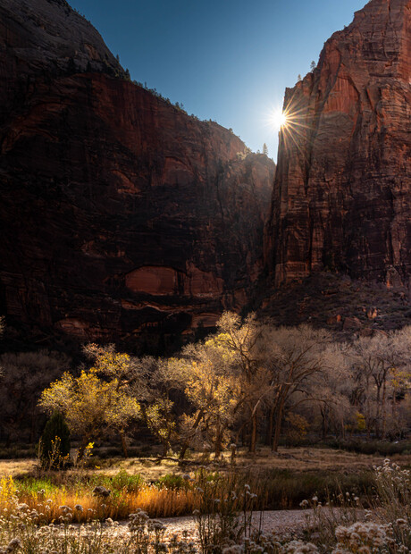 Zonlicht dat door de canyon breekt — pure magie in Zion.