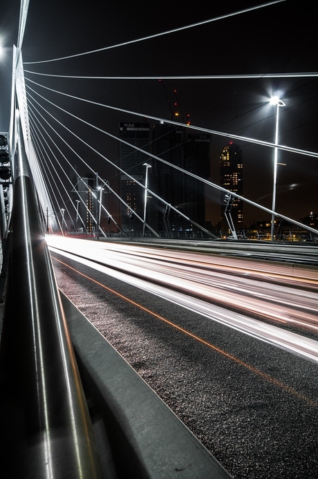 Erasmusbrug Rotterdam