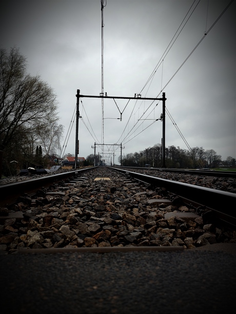 Spoor