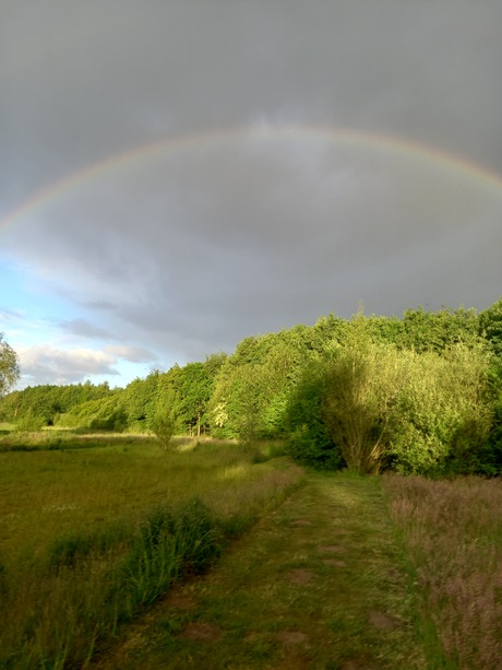 Regenboog 