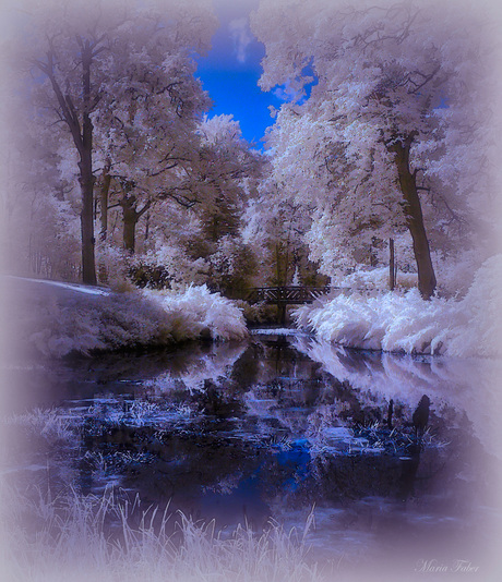 Dreamy infrared
