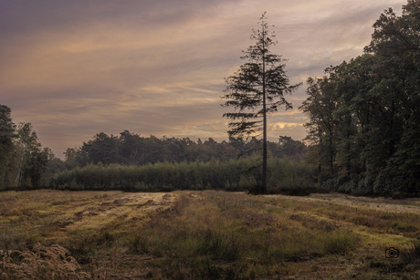 Het ochtend gloren...