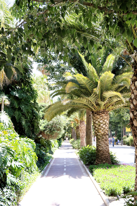 Paseo del Parque in Malaga