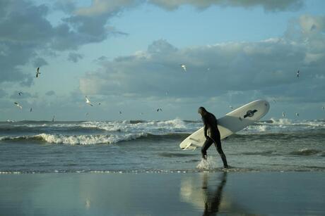 Surfen in Scheveningen