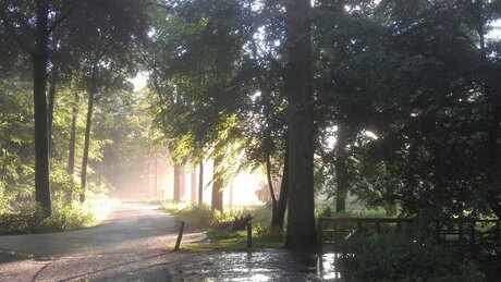 Na de regen komt zonneschijn