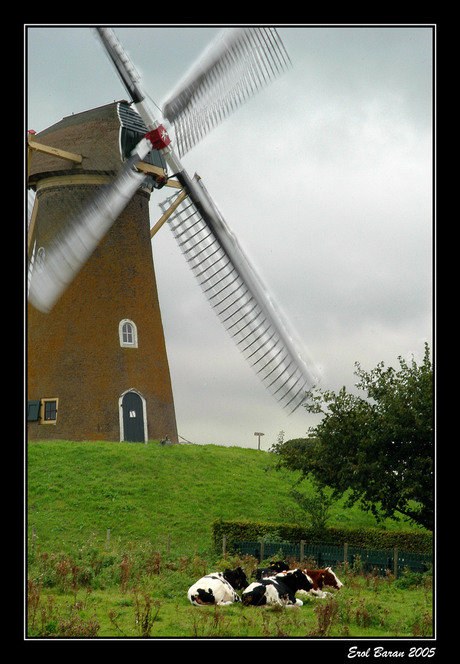 De molen in beweging