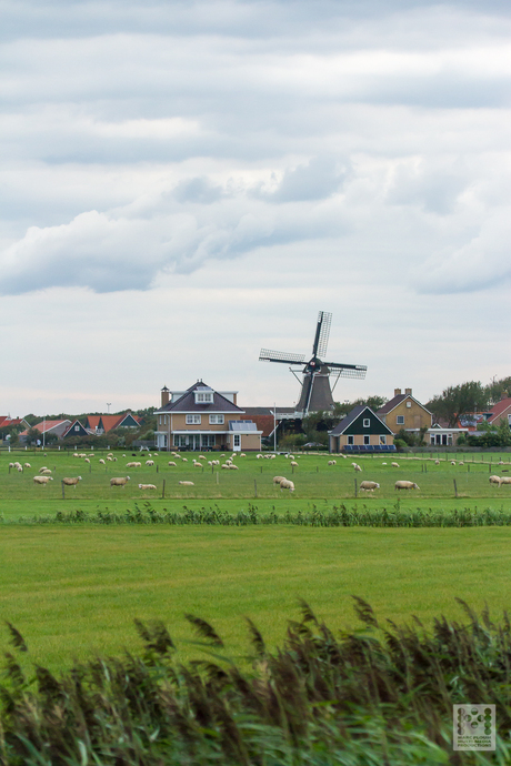 Hollands landschap op Ameland